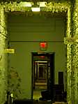 Greystone