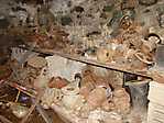 Overbrook Hospital