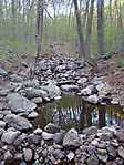 Ramapo Reservation