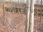 Mount Hope Mines