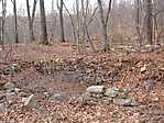Mount Hope Mines