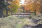 Essex Mountain Sanatorium