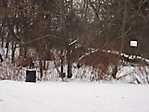 Essex Mountain Sanatorium Winter