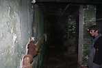 Greystone