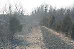 Paulinskill Viaduct