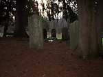 Walpack Area